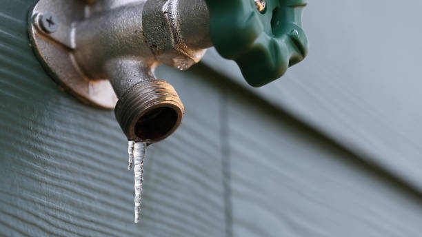 Best Water Leak Repair  in Cold Spring, KY